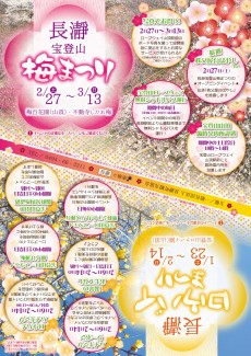 梅まつり2016-表