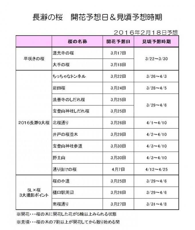 プレゼンテーション1