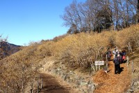 宝登山ロウバイ園 03