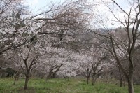 ちっちゃなトンネル