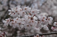 ちっちゃなトンネル