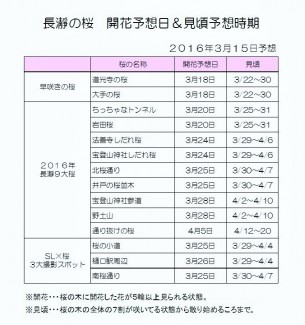 開花＆見頃予想　2016.3.15