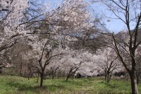 ちっちゃなトンネル