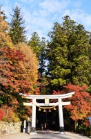 宝登山神社 (2)