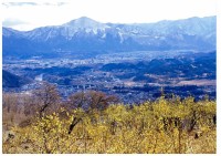 ロウバイ園から武甲山を臨む