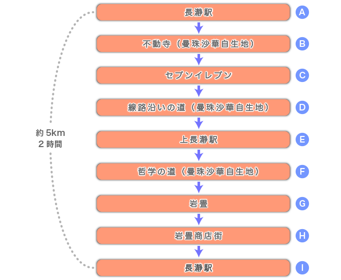長瀞の曼珠沙華を巡る道