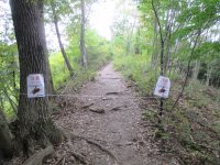 小鳥峠側から見た様子　