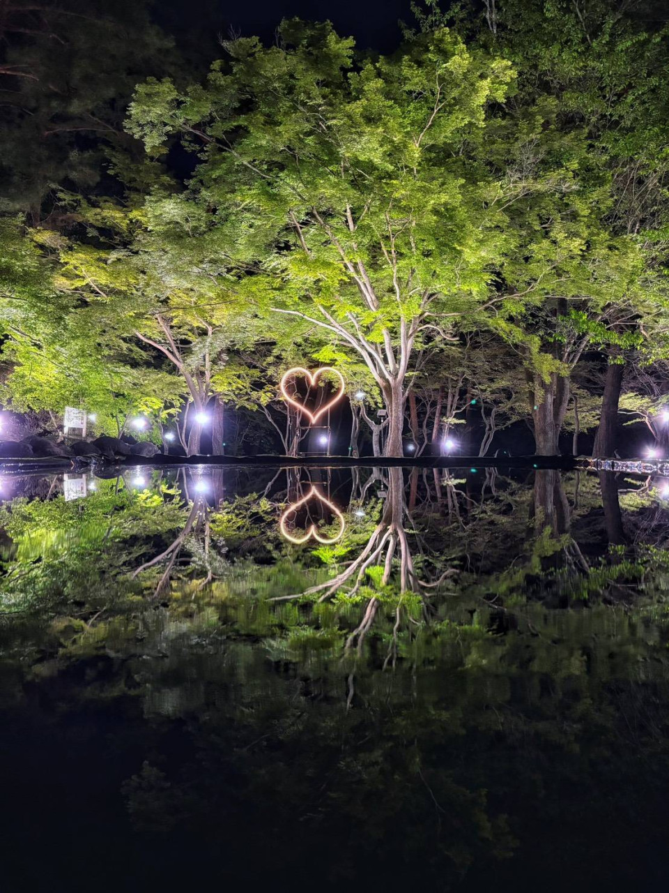 月の石もみじ公園「青もみじのライトアップ」４月２７日～６月７日