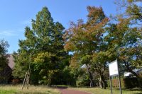 埼玉県立自然の博物館