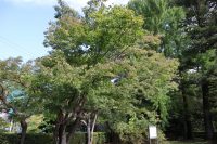 埼玉県立自然の博物館