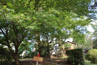 埼玉県立自然の博物館